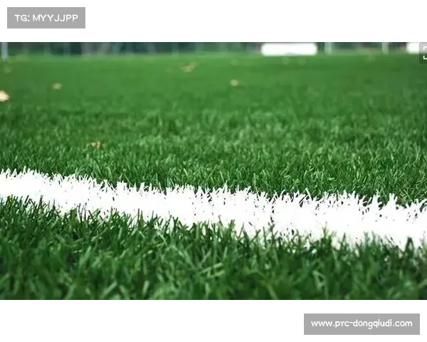 巴黎奥运会足球场启用草坪温控系统应对极端高温挑战